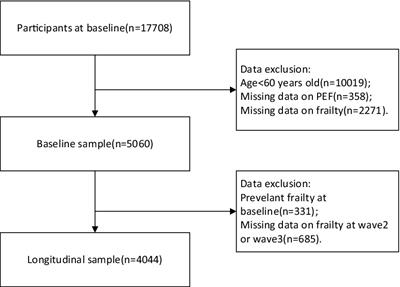 Associations between peak expiratory flow and frailty in olderly individuals: findings from the China health and retirement longitudinal study